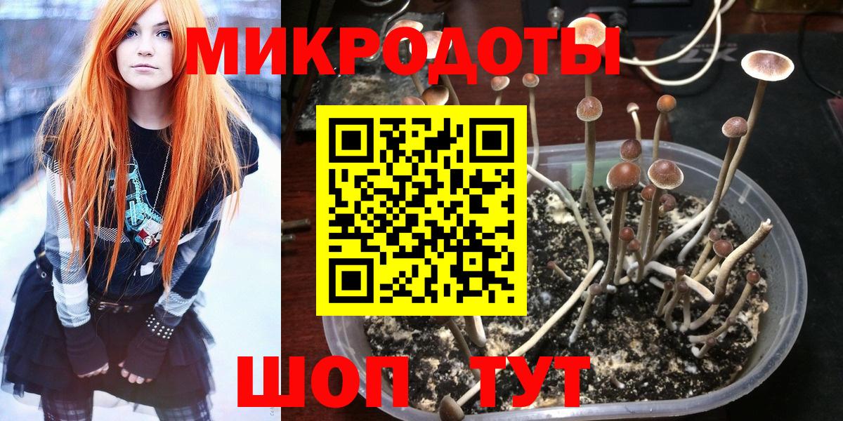 Галлюциногенные грибы ЛСД  Вход с VPN  где найти наркотики  Воскресенск 