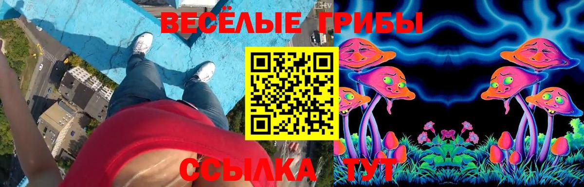 Псилоцибиновые грибы Psilocybe Воскресенск